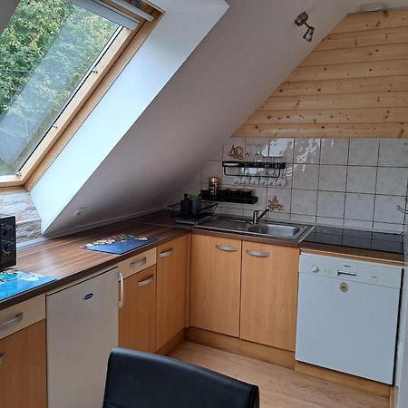 Apartment Erika Fužine Εξωτερικό φωτογραφία