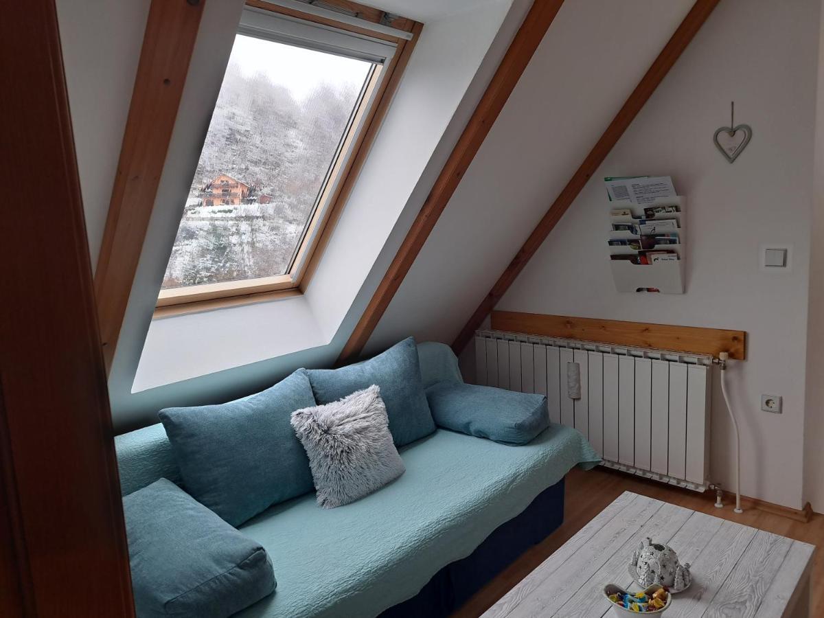 Apartment Erika Fužine Εξωτερικό φωτογραφία