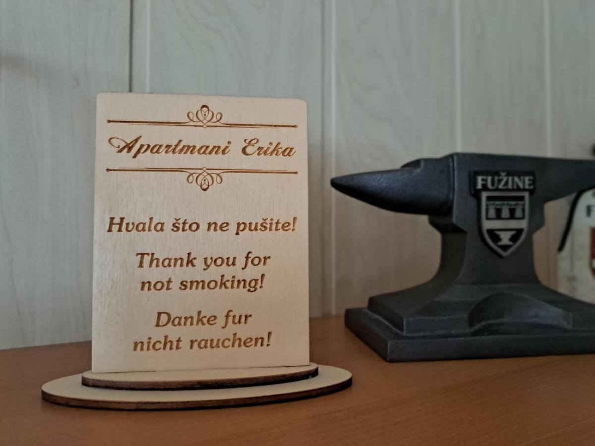 Apartment Erika Fužine Εξωτερικό φωτογραφία
