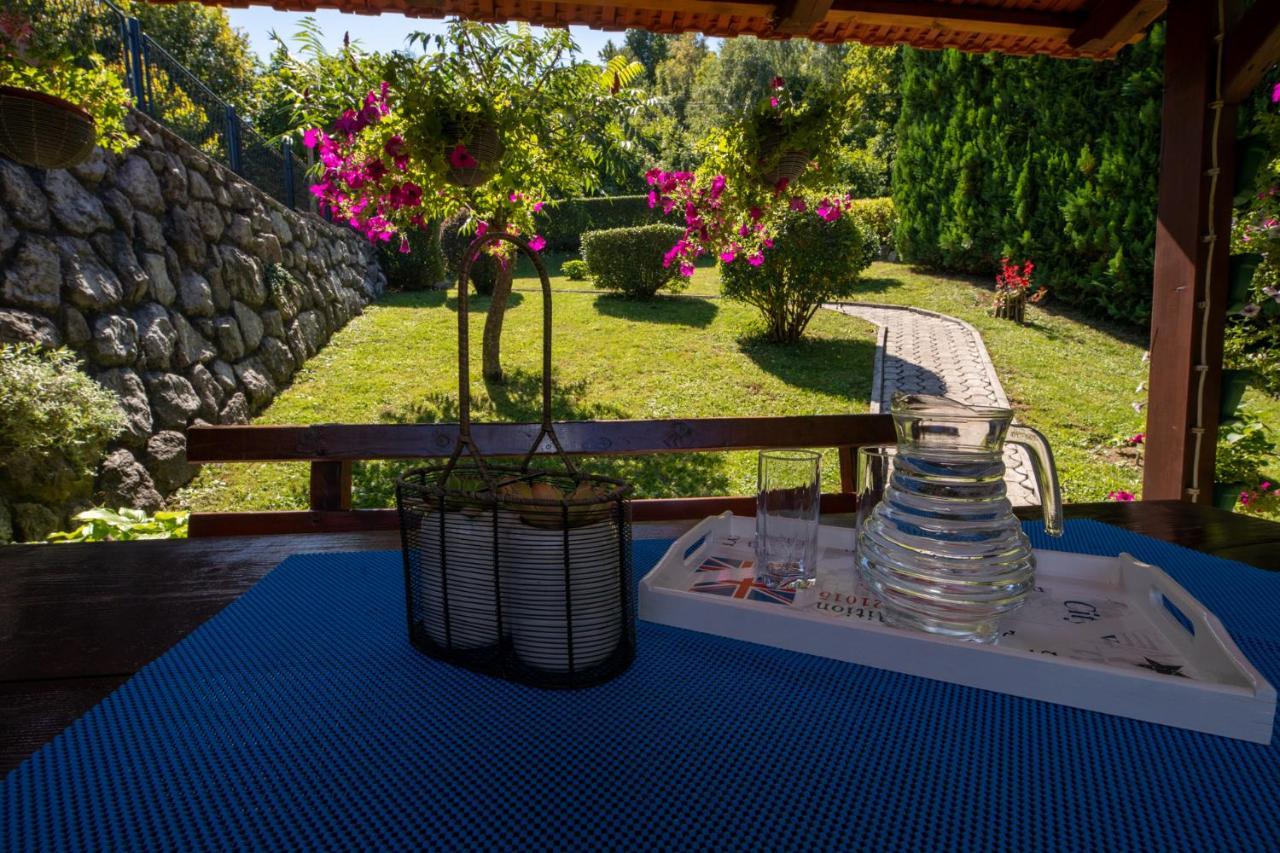 Apartment Erika Fužine Εξωτερικό φωτογραφία