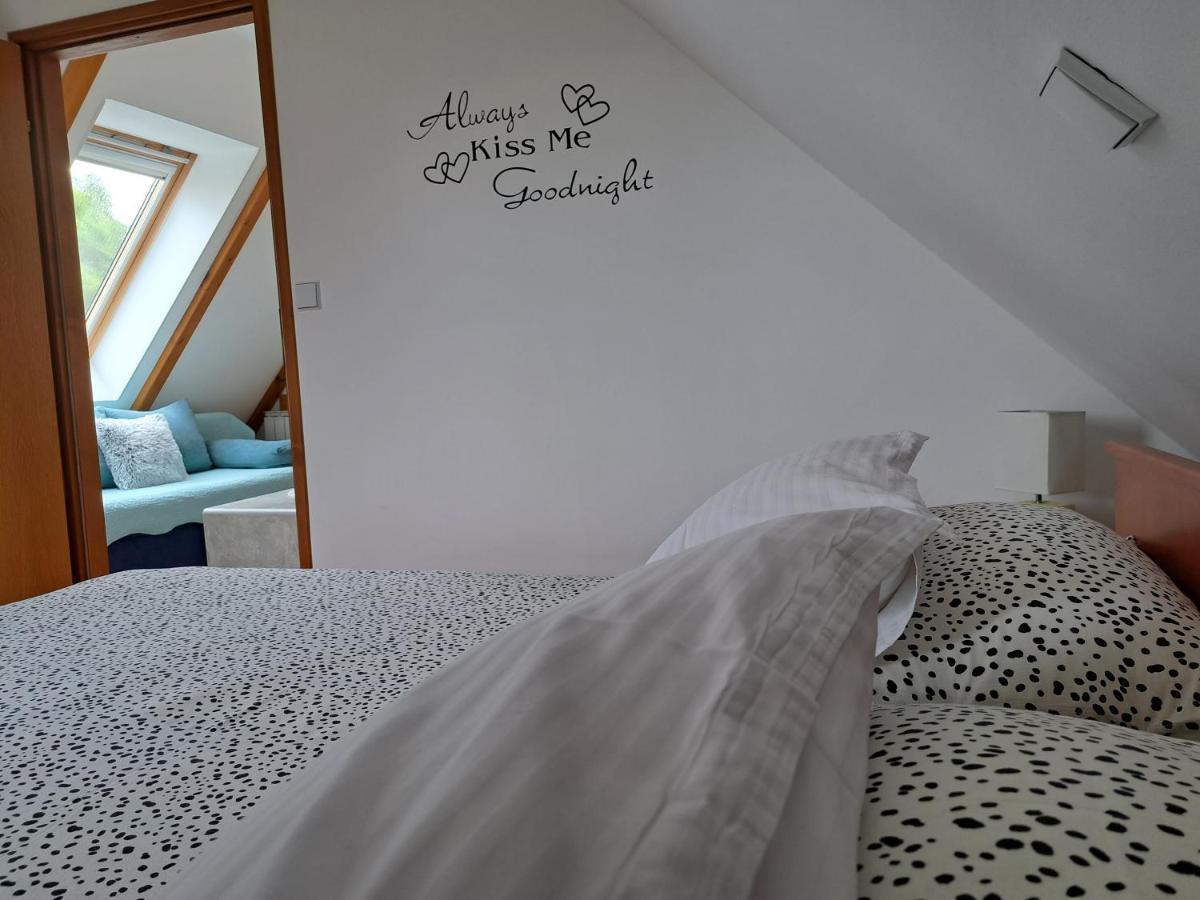 Apartment Erika Fužine Εξωτερικό φωτογραφία