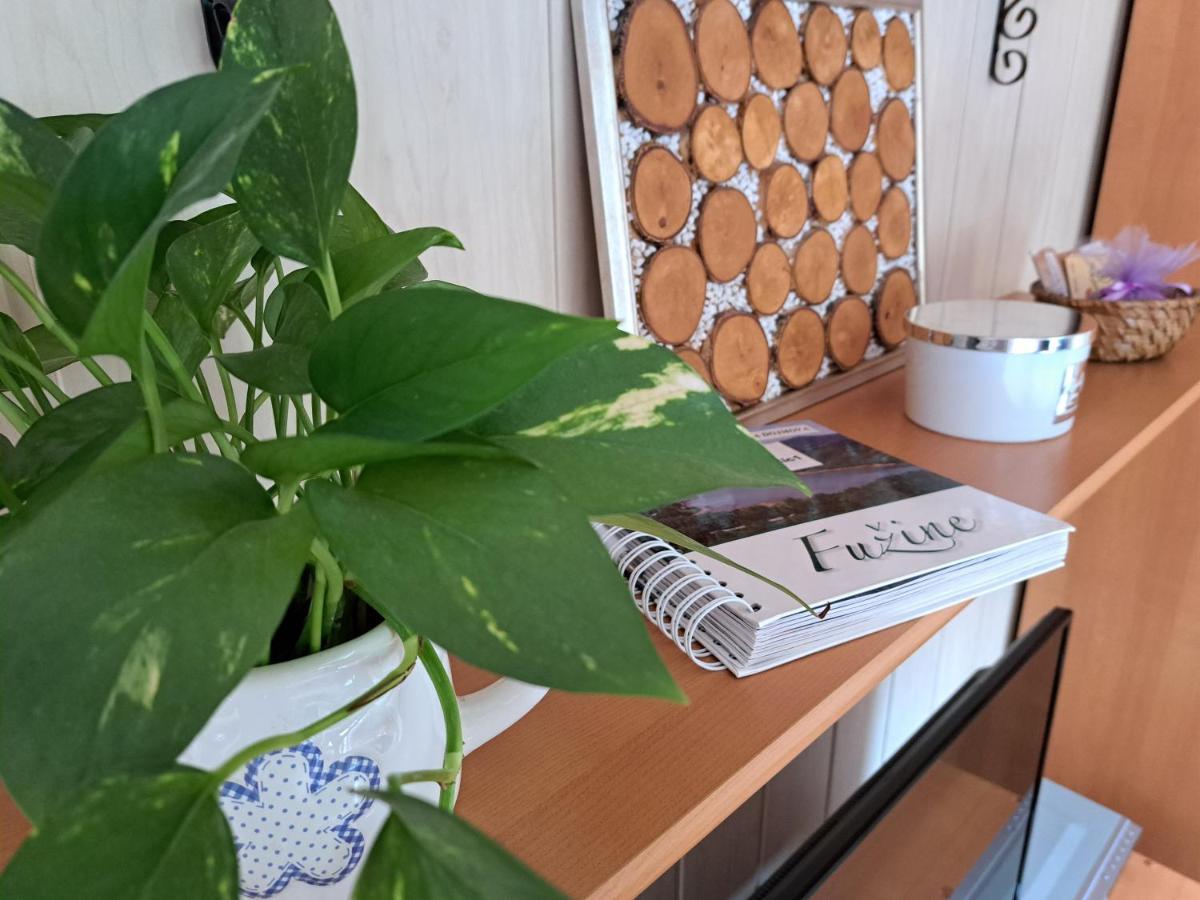 Apartment Erika Fužine Εξωτερικό φωτογραφία