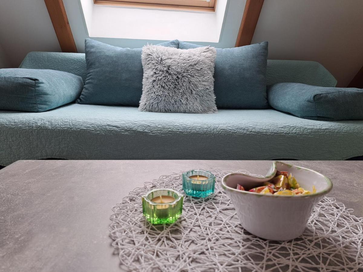 Apartment Erika Fužine Εξωτερικό φωτογραφία