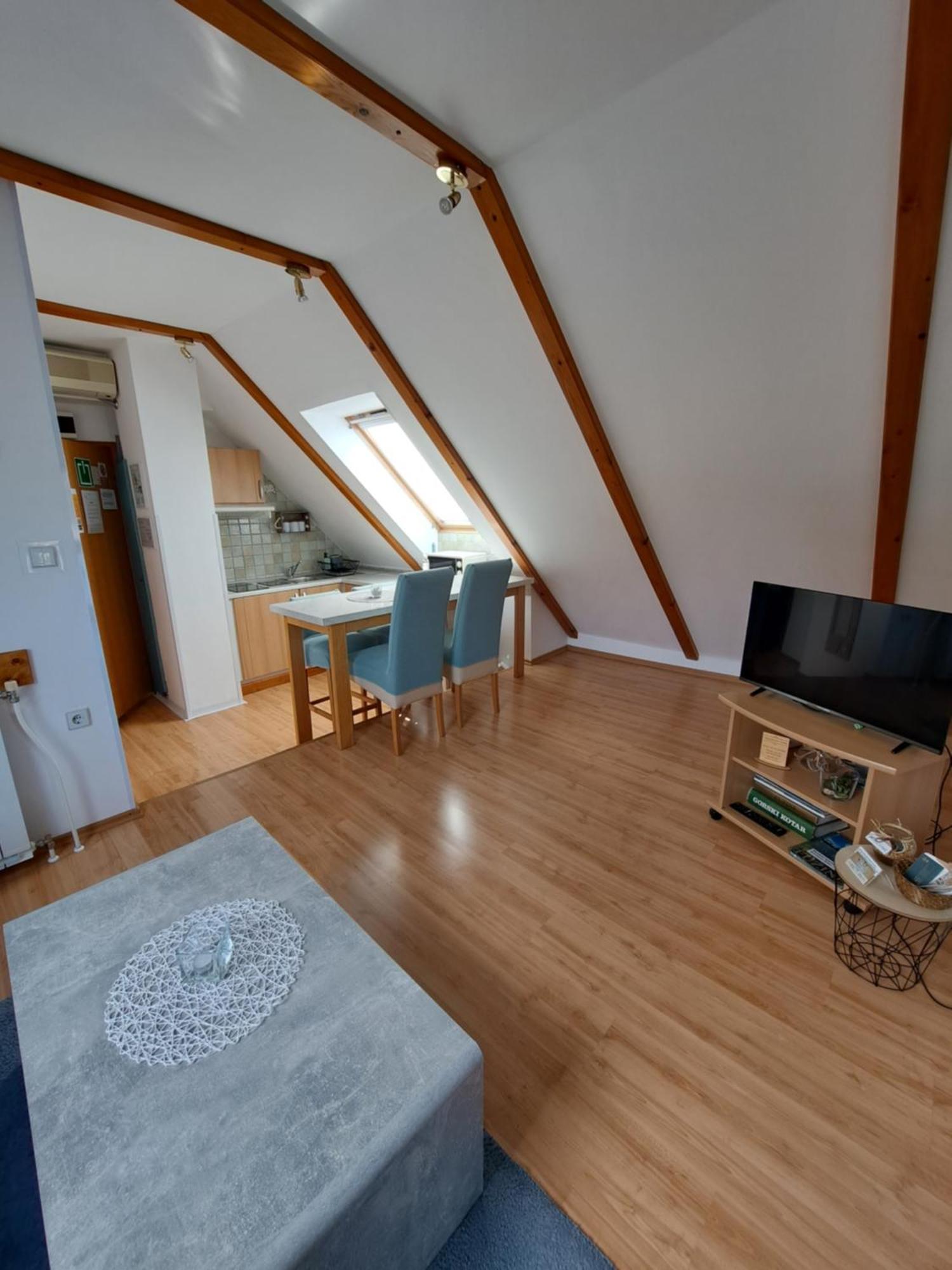 Apartment Erika Fužine Εξωτερικό φωτογραφία